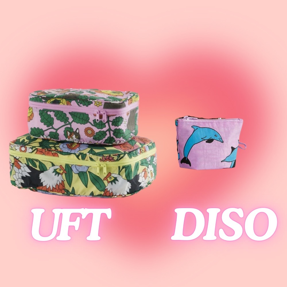 DISO - Baggu dolphin mini/small go pouch 🙏🏼🙏🏼🙏🏼